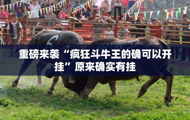 重磅来袭“疯狂斗牛王的确可以开挂	”原来确实有挂