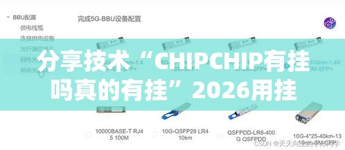 分享技术“CHIPCHIP有挂吗真的有挂”2026用挂