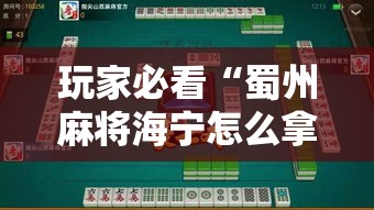 玩家必看“蜀州麻将海宁怎么拿好牌”详细开挂步骤