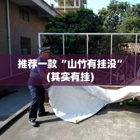 推荐一款“山竹有挂没”(其实有挂)