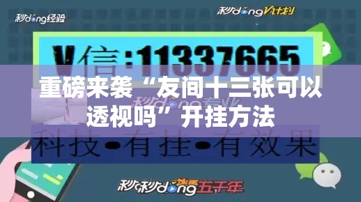 重磅来袭“友间十三张可以透视吗”开挂方法