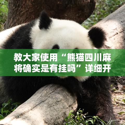 教大家使用“熊猫四川麻将确实是有挂吗”详细开挂教程
