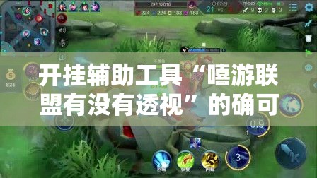 开挂辅助工具“嘻游联盟有没有透视	”的确可以开挂