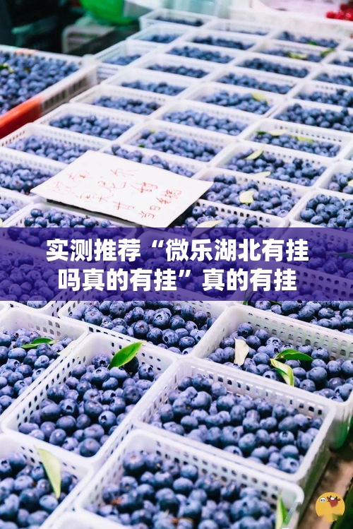 实测推荐“微乐湖北有挂吗真的有挂	”真的有挂