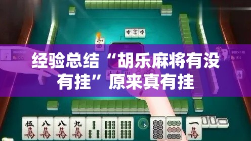 经验总结“胡乐麻将有没有挂”原来真有挂