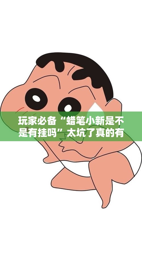 玩家必备“蜡笔小新是不是有挂吗”太坑了真的有挂
