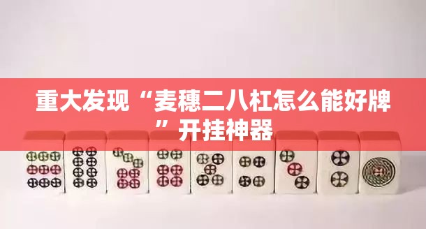 重大发现“麦穗二八杠怎么能好牌”开挂神器