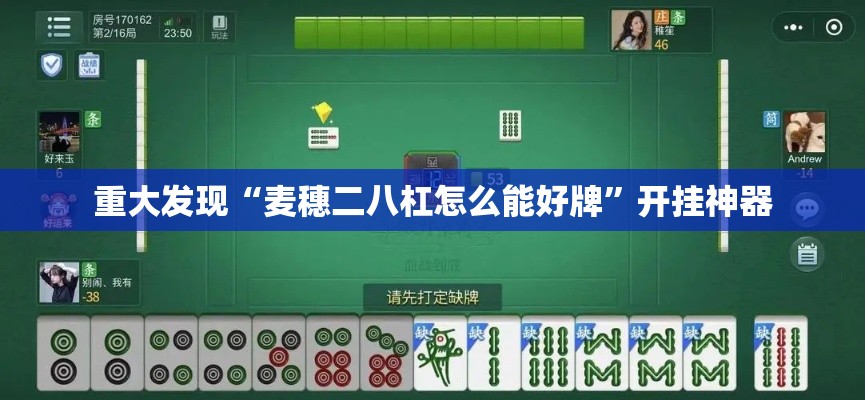 重大发现“麦穗二八杠怎么能好牌	”开挂神器