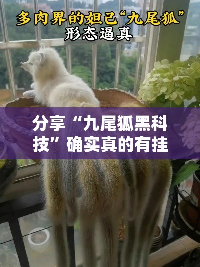 重磅来袭“桂林娱乐到底有透视吗 ”详细开挂玩法