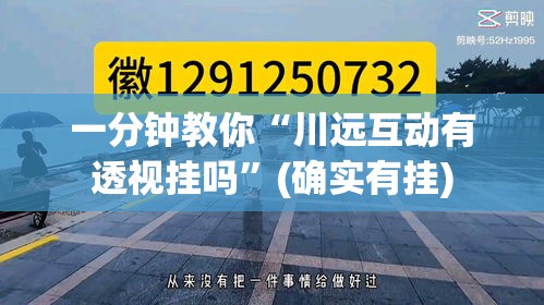 一分钟教你“川远互动有透视挂吗”(确实有挂)