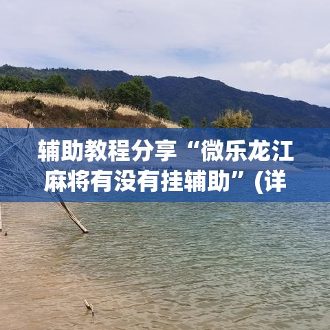 辅助教程分享“微乐龙江麻将有没有挂辅助	”(详细辅助脚本)