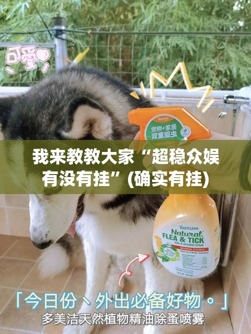 我来教教大家“超稳众娱有没有挂”(确实有挂)