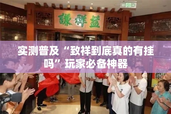 实测普及“致祥到底真的有挂吗”玩家必备神器