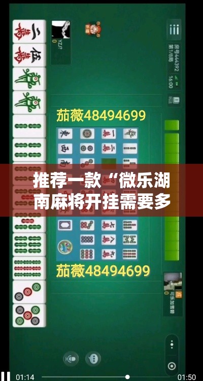 今日重大消息“微乐湖南麻将开挂专用辅助器”分享详细开挂教程