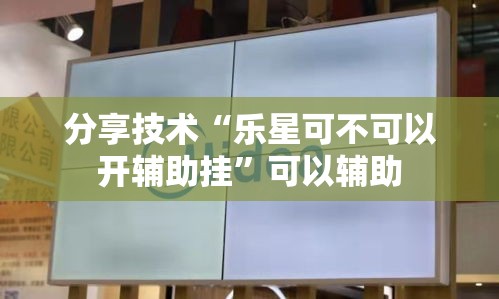 分享技术“乐星可不可以开辅助挂”可以辅助