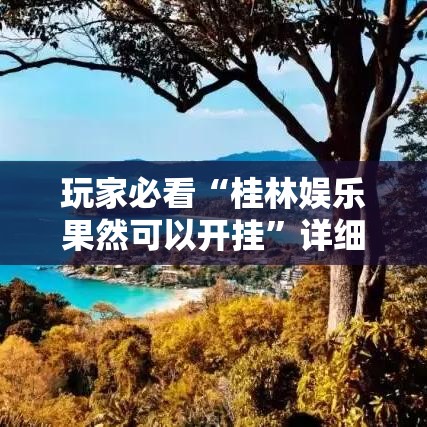 玩家必看“桂林娱乐果然可以开挂”详细开挂玩法