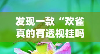 发现一款“欢雀真的有透视挂吗”分享详细开挂教程