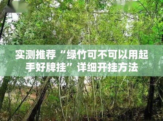实测推荐“绿竹可不可以用起手好牌挂”详细开挂方法