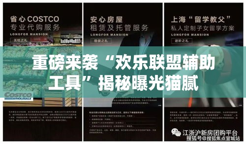 重磅来袭“欢乐联盟辅助工具”揭秘曝光猫腻