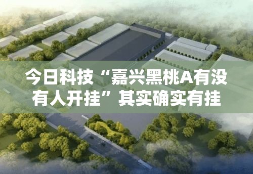 今日科技“嘉兴黑桃A有没有人开挂	”其实确实有挂