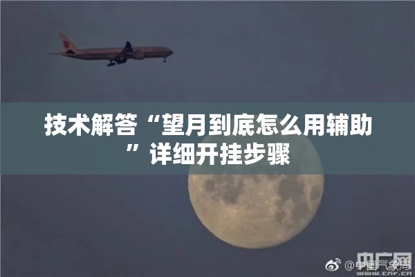技术解答“望月到底怎么用辅助”详细开挂步骤