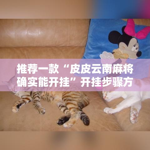 推荐一款“皮皮云南麻将确实能开挂”开挂步骤方法