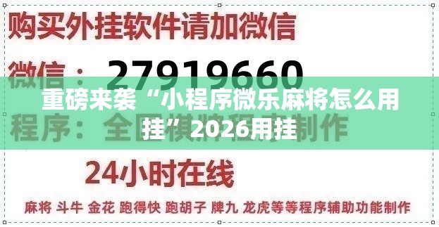 重磅来袭“小程序微乐麻将怎么用挂	”2026用挂