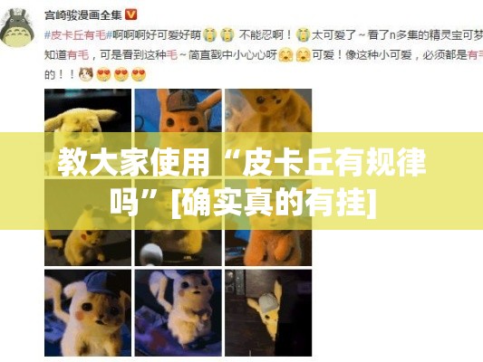 教大家使用“皮卡丘有规律吗”[确实真的有挂]