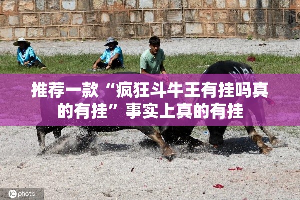 推荐一款“疯狂斗牛王有挂吗真的有挂	”事实上真的有挂