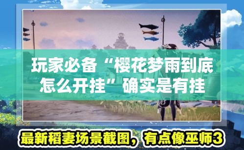 玩家必备“樱花梦雨到底怎么开挂”确实是有挂