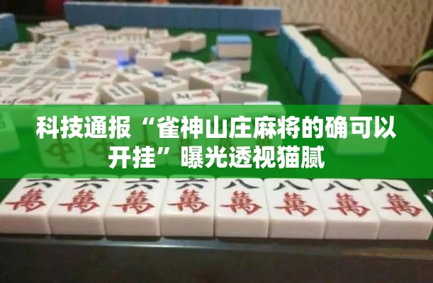 科技通报“雀神山庄麻将的确可以开挂”曝光透视猫腻