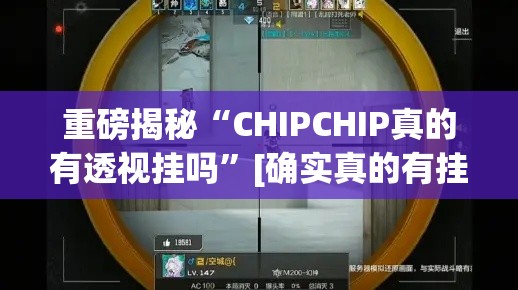 重磅揭秘“CHIPCHIP真的有透视挂吗”[确实真的有挂]
