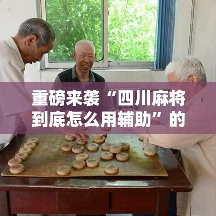 重磅来袭“四川麻将到底怎么用辅助”的确有挂