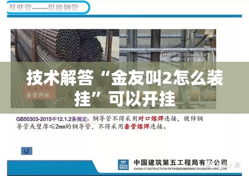 技术解答“金友叫2怎么装挂”可以开挂