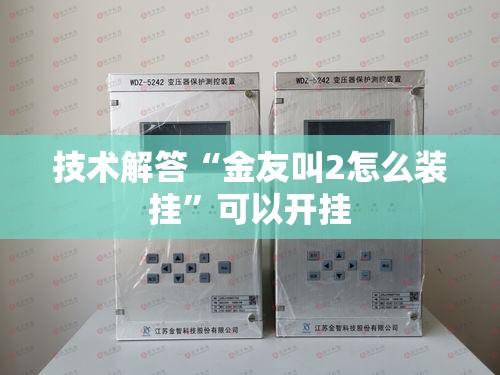 技术解答“金友叫2怎么装挂	”可以开挂