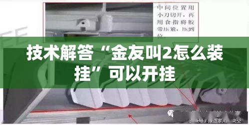 技术解答“金友叫2怎么装挂”可以开挂