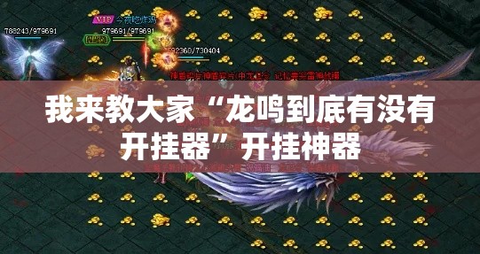 我来教大家“龙鸣到底有没有开挂器”开挂神器
