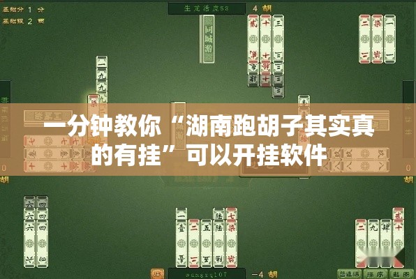 一分钟教你“湖南跑胡子其实真的有挂”可以开挂软件