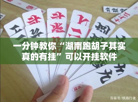 一分钟教你“湖南跑胡子其实真的有挂”可以开挂软件