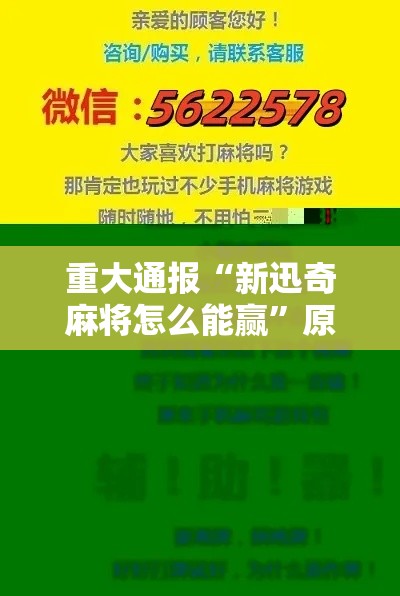 重大通报“新迅奇麻将怎么能赢”原来真的有挂