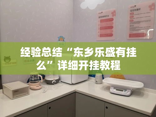 经验总结“东乡乐盛有挂么”详细开挂教程
