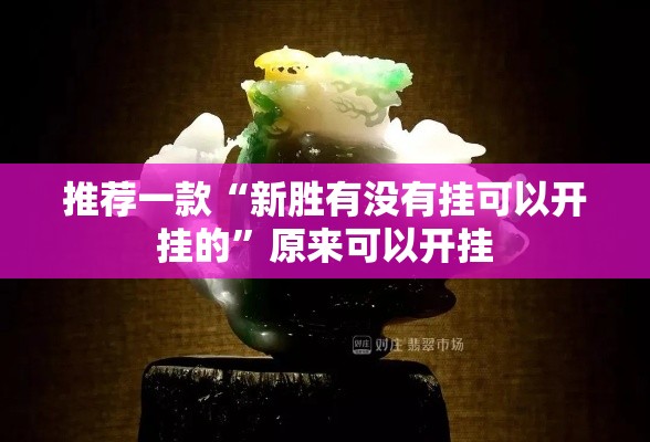 推荐一款“新胜有没有挂可以开挂的”原来可以开挂