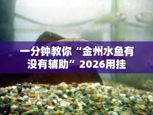 一分钟教你“金州水鱼有没有辅助	”2026用挂