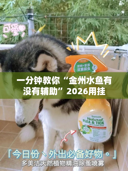 一分钟教你“金州水鱼有没有辅助”2026用挂