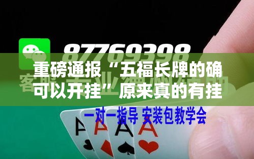 重磅通报“五福长牌的确可以开挂”原来真的有挂