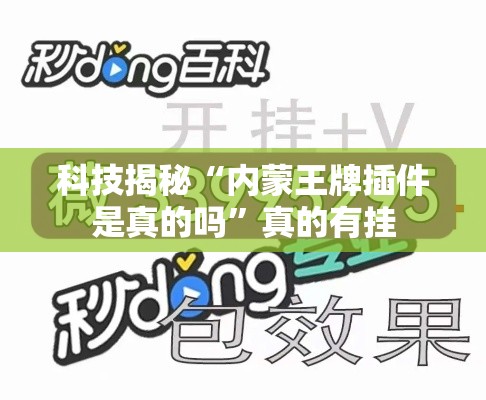 科技揭秘“内蒙王牌插件是真的吗”真的有挂