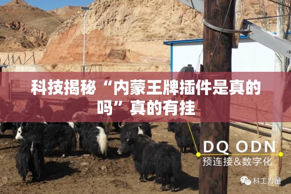 科技揭秘“内蒙王牌插件是真的吗”真的有挂
