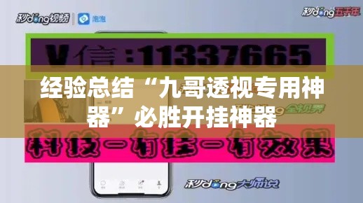 经验总结“九哥透视专用神器”必胜开挂神器