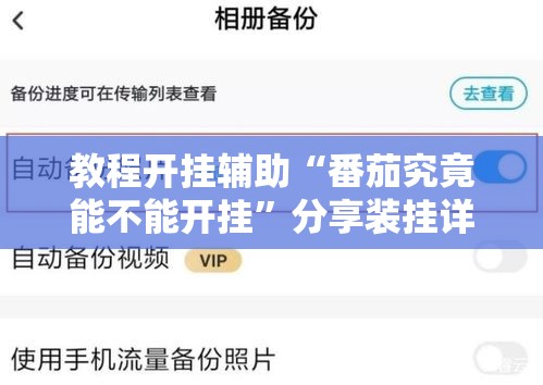 教程开挂辅助“番茄究竟能不能开挂”分享装挂详细步骤