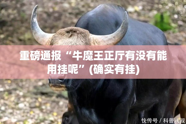 重磅通报“牛魔王正厅有没有能用挂呢”(确实有挂)